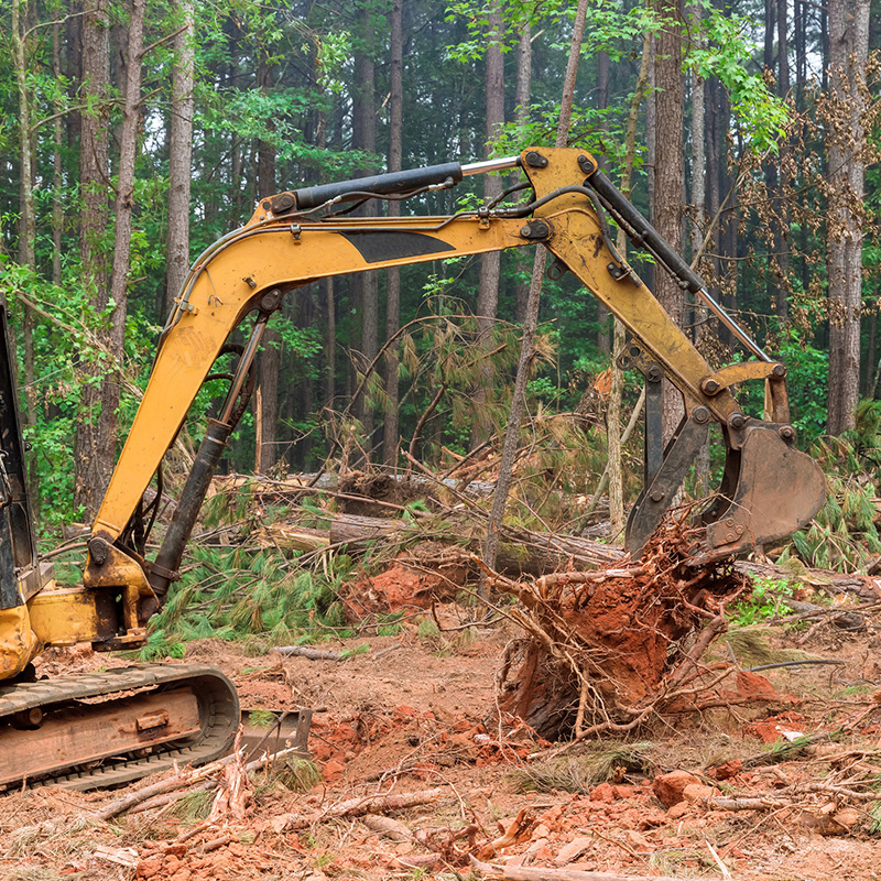 Excavator clearing forest terrain
