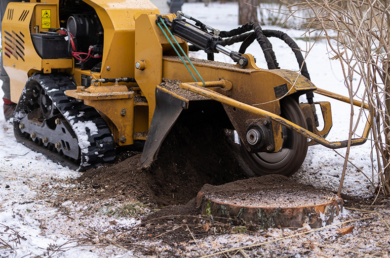 Stump grinding machinery in snow